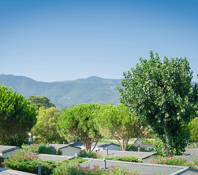 Large Gamme Hebergement Camping (1)