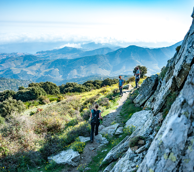 Kulturelles Erbe des Albères-Massivs